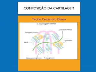 COMPOSIÇÃO DA CARTILAGEM
Tecido Conjuntivo Denso
 