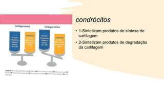 condrócitos
• 1-Sintetizam produtos de síntese de
cartilagem
• 2-Sintetizam produtos de degradação
da cartilagem
 