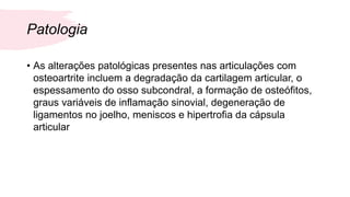 Patologia
• As alterações patológicas presentes nas articulações com
osteoartrite incluem a degradação da cartilagem articular, o
espessamento do osso subcondral, a formação de osteófitos,
graus variáveis de inflamação sinovial, degeneração de
ligamentos no joelho, meniscos e hipertrofia da cápsula
articular
 
