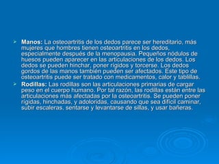 Manos:  La osteoartritis de los dedos parece ser hereditario, más mujeres que hombres tienen osteoartritis en los dedos, especialmente después de la menopausia. Pequeños nódulos de huesos pueden aparecer en las articulaciones de los dedos. Los dedos se pueden hinchar, poner rígidos y torcerse. Los dedos gordos de las manos también pueden ser afectados. Este tipo de osteoartritis puede ser tratado con medicamentos, calor y tablillas. Rodillas:  Las rodillas son las articulaciones primarias de cargar peso en el cuerpo humano. Por tal razón, las rodillas están entre las articulaciones más afectadas por la osteoartritis. Se pueden poner rígidas, hinchadas, y adoloridas, causando que sea difícil caminar, subir escaleras, sentarse y levantarse de sillas, y usar bañeras.  
