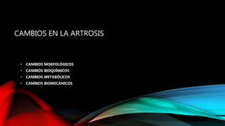CAMBIOS EN LA ARTROSIS
• CAMBIOS MORFOLÓGICOS
• CAMBIOS BIOQUÍMICOS
• CAMBIOS METABÓLICOS
• CAMBIOS BIOMECÁNICOS
 