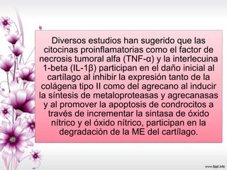 Diversos estudios han sugerido que las
citocinas proinflamatorias como el factor de
necrosis tumoral alfa (TNF-α) y la interlecuina
1-beta (IL-1β) participan en el daño inicial al
cartílago al inhibir la expresión tanto de la
colágena tipo II como del agrecano al inducir
la síntesis de metaloproteasas y agrecanasas
y al promover la apoptosis de condrocitos a
través de incrementar la sintasa de óxido
nítrico y el óxido nítrico, participan en la
degradación de la ME del cartílago.
 