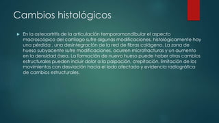 Cambios histológicos
 En la osteoartritis de la articulación temporomandibular el aspecto
macroscópico del cartílago sufre algunas modificaciones, histológicamente hay
una pérdida , una desintegración de la red de fibras colágeno. La zona de
hueso subyacente sufre modificaciones, ocurren microfracturas y un aumento
en la densidad ósea. La formación de nuevo hueso puede haber otros cambios
estructurales pueden incluir dolor a la palpación, crepitación, limitación de los
movimientos con desviación hacia el lado afectado y evidencia radiográfica
de cambios estructurales.
 