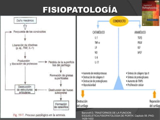 FISIOPATOLOGÍA




       Bancroft D, TRASTORNOS DE LA FUNCION
       ESQUELETICA,FISIOPATOLOGIA DE PORTH, Capitulo 59 ,PAG:
       1429-1433
 