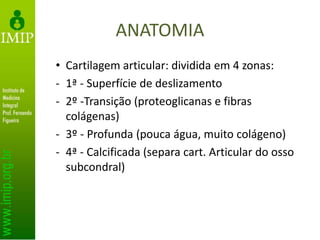 ANATOMIA
• Cartilagem articular: dividida em 4 zonas:
- 1ª - Superfície de deslizamento
- 2º -Transição (proteoglicanas e fibras
colágenas)
- 3º - Profunda (pouca água, muito colágeno)
- 4ª - Calcificada (separa cart. Articular do osso
subcondral)
 