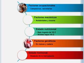 Factores ocupacionales
• Campesinos, secretarias
Factores mecánicos
• Ambientales y trauma
Estado nutricional
• Baja ingesta de Vit C
• Niveles bajos Vit D
Factores genéticos
• En manos y cadera
Estado hormonal
• Después de la menopausia
 