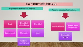 Depende de la articulación afectada
Edad
Densidad
mineral ósea
Obesidad
Osteoporosis Herencia Sexo
Factores
nutricionales
Factores locales de la articulación
Traumatismos
Alteraciones
anatómicas
Ocupación
laboral
FACTORES DE RIESGO
 