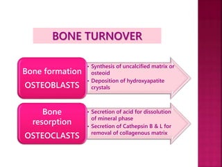 Osteoblast-Osteoclast activity | PPTX