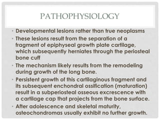 PATHOPHYSIOLOGY
• Developmental lesions rather than true neoplasms
• These lesions result from the separation of a
fragment of epiphyseal growth plate cartilage,
which subsequently herniates through the periosteal
bone cuff
• The mechanism likely results from the remodeling
during growth of the long bone.
• Persistent growth of this cartilaginous fragment and
its subsequent enchondral ossification (maturation)
result in a subperiosteal osseous excrescence with
a cartilage cap that projects from the bone surface.
• After adolescence and skeletal maturity,
osteochondromas usually exhibit no further growth.
 