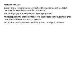 HISTOPATHOLOGY:
Grossly the specimens have a well defined bony marrow or broad stalk
covered by a cartilage cap at the broader end
The cartilage gap is usually thicker in younger patients
Microscopically the chondrocytes shows a zonification and superficial ones
are more clustered and seen in lacunae
Amorphous calcification with focal necrosis of cartilage is common
 