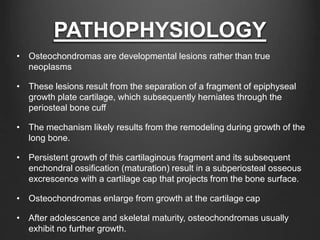 PATHOPHYSIOLOGY
• Osteochondromas are developmental lesions rather than true
neoplasms
• These lesions result from the separation of a fragment of epiphyseal
growth plate cartilage, which subsequently herniates through the
periosteal bone cuff
• The mechanism likely results from the remodeling during growth of the
long bone.
• Persistent growth of this cartilaginous fragment and its subsequent
enchondral ossification (maturation) result in a subperiosteal osseous
excrescence with a cartilage cap that projects from the bone surface.
• Osteochondromas enlarge from growth at the cartilage cap
• After adolescence and skeletal maturity, osteochondromas usually
exhibit no further growth.
 