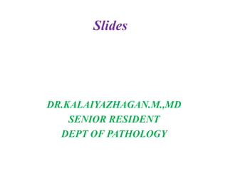 Slides
DR.KALAIYAZHAGAN.M.,MD
SENIOR RESIDENT
DEPT OF PATHOLOGY
 