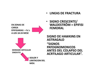 • LINEAS DE FRACTURA

                                   • SIGNO CRESCENTE/
EN ZONAS DE                          WALDESTRÔM = EPIFISI
CARGA                                FEMORAL
EPIFISIARIAS = Fx´s
A LOS 18-24 MESE
                                   SIGNO DE HAWKINS EN
                                   ASTRAGALO
                                   “SIGNOS
                                   PATOGNOMONICOS
DERRAME ARTICULAR
SINOVITIS
                                   ANTES DEL COLAPSO DEL
                                   ACRTILAGO ARTICULAR”.
                  DOLOR Y
                  LIMITACION DEL
                  MOV.
 