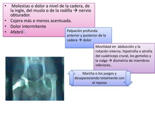 •  Molestias o dolor a nivel de la cadera, de
  la ingle, del muslo o de la rodilla  nervio
  obturador.
• Cojera más o menos acentuada.
• Dolor intermitente
• Afebril7.                      Palpación profunda
                                  anterior y posterior de la
                                  cadera  dolor
                                                     Movilidad en abducción y la
                                                     rotación interna. hipotrofia o atrofia
                                                     del cuádriceps crural, los gemelos y
                                                     la nalga  dismetría de miembros
                                                     inferiores.

                                           Marcha o los juegos y
                                       desapareciendo totalmente con
                                                 el reposo
 