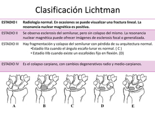 Clasificación Lichtman
ESTADIO I     Radiología normal. En ocasiones se puede visualizar una fractura lineal. La
              resonancia nuclear magnética es positiva.
ESTADIO II    Se observa esclerosis del semilunar, pero sin colapso del mismo. La resonancia
              nuclear magnética puede ofrecer imágenes de esclerosis focal o generalizada.
ESTADIO III   Hay fragmentación y colapso del semilunar con pérdida de su arquitectura normal.
                   •Estadío IIIa cuando el ángulo escafo-lunar es normal. ( C )
                   • Estadío IIIb cuando existe un escafoides fijo en flexión. (D)

ESTADIO IV    Es el colapso carpiano, con cambios degenerativos radio y medio-carpianos.
 