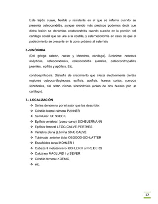 12
Este tejido suave, flexible y resistente es el que se inflama cuando se
presenta osteocondritis, aunque siendo más precisos podemos decir que
dicha lesión se denomina costocondritis cuando sucede en la porción del
cartílago costal que se une a la costilla, y esternocondritis en caso de que el
padecimiento se presente en la zona próxima al esternón.
6.-SINÓNIMIA
(Del griego osteon, hueso y khondros, cartílago). Sinónimo: necrosis
asépticas, osteocondrosis, osteocondritis juveniles, osteocondropatías
juveniles, epífitis y apófisis. Etc.
condroepiifisosis. Distrofia de crecimiento que afecta electivamente ciertas
regiones osteocartilaginosas: epífisis, apófisis, huesos cortos, cuerpos
vertebrales, así como ciertas sincondrosis (unión de dos huesos por un
cartílago).
7.- LOCALIZACIÓN
 Se les denomina por el autor que las describió:
 Cóndilo lateral húmero PANNER
 Semilunar KIENBOCK
 Epífisis vertebral (dorso curvo) SCHEUERMANN
 Epífisis femoral LEGG-CALVE-PERTHES
 Vértebra plana (Lámina 50:4) CALVE
 Tubérculo anterior tibial OSGOOD-SCHLATTER
 Escafoides tarsal KOHLER I
 Cabeza II metatarsiano KOHLER II o FREIBERG
 Calcáneo MAGLUND I o SEVER
 Cóndilo femoral KOENIG
 etc.
 