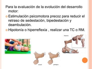 Para la evaluación de la evolución del desarrollo
motor:
 Estimulación psicomotora precoz para reducir el
retraso de sedestación, bipedestación y
deambulación.
 Hipotonía o hiperreflexia , realizar una TC o RM.
 