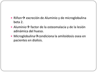  Riñon excreción de Aluminio y de microglobulina

beta 2.
 Aluminio factor de la osteomalacia y de la lesión
adinámica del hueso.
 Microglobulinacondiciona la amiloidosis osea en
pacientes en dialisis.

 
