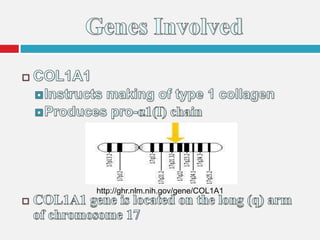 http://ghr.nlm.nih.gov/gene/COL1A1
 