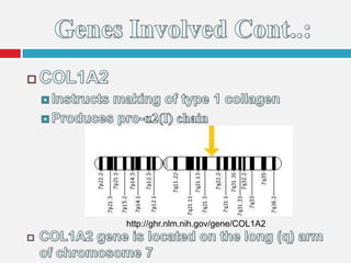 http://ghr.nlm.nih.gov/gene/COL1A2
 