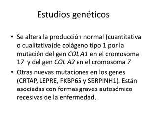Estudios genéticos
• Se altera la producción normal (cuantitativa
o cualitativa)de colágeno tipo 1 por la
mutación del gen COL A1 en el cromosoma
17 y del gen COL A2 en el cromosoma 7
• Otras nuevas mutaciones en los genes
(CRTAP, LEPRE, FKBP65 y SERPINH1). Están
asociadas con formas graves autosómico
recesivas de la enfermedad.

 