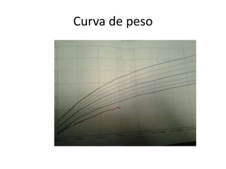 Curva de peso

 