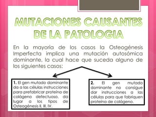 En la mayoría de los casos la Osteogénesis 
Imperfecta implica una mutación autosómica 
dominante, la cual hace que suceda alguno de 
los siguientes casos: 
1. El gen mutado dominante 
da a las células instrucciones 
para prefabricar proteína de 
colágeno defectuoso, da 
lugar a los tipos de 
Osteogénesis ll, lll, lV. 
2. El gen mutado 
dominante no consigue 
dar instrucciones a las 
células para que fabriquen 
proteína de colágeno. 
 
