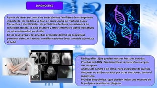 DIAGNOSTICO
Aparte de tener en cuenta los antecedentes familiares de osteogénesis
imperfecta, los médicos se fijan en la presencia de fracturas óseas
frecuentes o inexplicables, los problemas dentales, la esclerótica de
tonalidad azulada, la baja estatura y otros síntomas o signos indicativos
de esta enfermedad en el niño.
En los casos graves, las pruebas prenatales (como las ecografías)
permiten detectar fracturas y malformaciones óseas antes de que nazca
el bebé
• Radiografías: Que pueden mostrar fracturas curadas.
• Pruebas del ADN: Para identificar la mutación en el gen
del colágeno
• Análisis de sangre o de orina: Para asegurarse de que los
síntomas no estén causados por otras afecciones, como el
raquitismo
• Pruebas bioquímicas: Que pueden incluir una muestra de
la piel para examinarle colágeno.
 