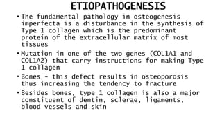 ETIOPATHOGENESIS
• The fundamental pathology in osteogenesis
imperfecta is a disturbance in the synthesis of
Type 1 collagen which is the predominant
protein of the extracellular matrix of most
tissues
• Mutation in one of the two genes (COL1A1 and
COL1A2) that carry instructions for making Type
1 collagen
• Bones - this defect results in osteoporosis
thus increasing the tendency to fracture
• Besides bones, type 1 collagen is also a major
constituent of dentin, sclerae, ligaments,
blood vessels and skin
 