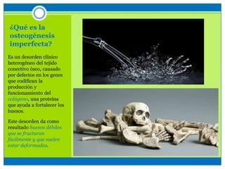 ¿Qué es la
osteogénesis
imperfecta?
Es un desorden clínico
heterogéneo del tejido
conectivo óseo, causado
por defectos en los genes
que codifican la
producción y
funcionamiento del
colágeno, una proteína
que ayuda a fortalecer los
huesos.
Este desorden da como
resultado huesos débiles
que se fracturan
fácilmente y que suelen
estar deformados.
 