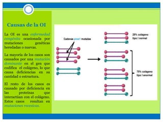 Causas de la OI
La OI es una enfermedad
congénita ocasionada por
mutaciones genéticas
heredadas o nuevas.
La mayoría de los casos son
causados por una mutación
dominante en el gen que
codifica el colágeno, lo que
causa deficiencias en su
cantidad o estructura.
El resto de los casos es
causado por deficiencia en
las proteínas que
interactúan con el colágeno.
Estos casos resultan en
mutaciones recesivas.
 
