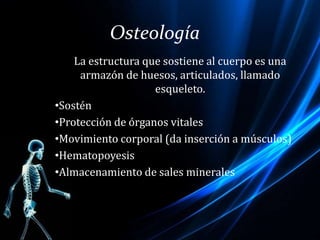 Osteología
La estructura que sostiene al cuerpo es una
armazón de huesos, articulados, llamado
esqueleto.
•Sostén
•Protección de órganos vitales
•Movimiento corporal (da inserción a músculos)
•Hematopoyesis
•Almacenamiento de sales minerales
 