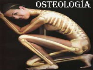 Osteología
 