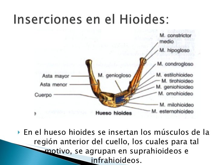 La medicina a la osteocondrosis del departamento humeral