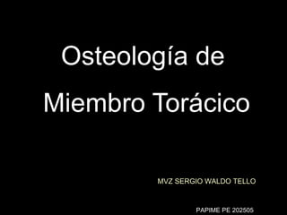 Osteología de  Miembro Torácico MVZ SERGIO WALDO TELLO PAPIME PE 202505 
