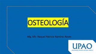OSTEOLOGÍA
Mg. MV. Raquel Patricia Ramírez Reyes
 