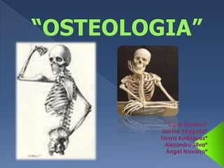 “OSTEOLOGIA” Karla Ramírez* Dorthy Raygoza* Tanya Rodríguez* Alejandro Silva* Ángel Navarro* 