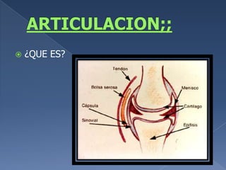 ARTICULACION;;¿QUE ES?