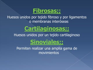 Fibrosas;;Huesos unidos por tejido fibroso y por ligamentos o membranas interóseasCartilaginosas;;Huesos unidos por un tejido cartilaginosoSinoviales;;Permiten realizar una amplia gama de movimientos