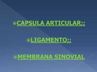CAPSULA ARTICULAR;;LIGAMENTO;;MEMBRANA SINOVIAL