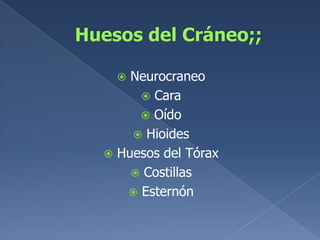 Huesos del Cráneo;;NeurocraneoCaraOídoHioidesHuesos del TóraxCostillasEsternón
