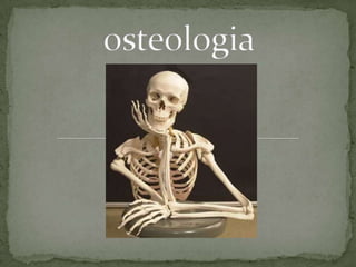 osteologia 