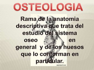 OSTEOLOGIA Rama de la anatomia descriptiva que trata del estudio del sistema oseo                   en general  y de los huesos que lo conforman en particular. 