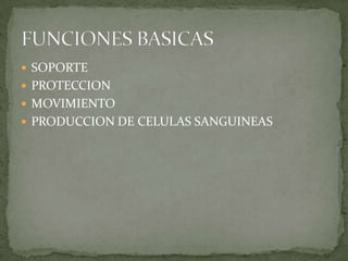 SOPORTEPROTECCIONMOVIMIENTOPRODUCCION DE CELULAS SANGUINEASFUNCIONES BASICAS