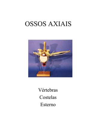 OSSOS AXIAIS




   Vértebras
   Costelas
    Esterno
 