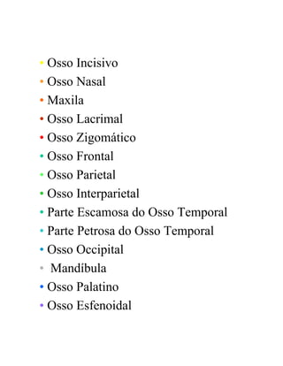 • Osso Incisivo
• Osso Nasal
• Maxila
• Osso Lacrimal
• Osso Zigomático
• Osso Frontal
• Osso Parietal
• Osso Interparietal
• Parte Escamosa do Osso Temporal
• Parte Petrosa do Osso Temporal
• Osso Occipital
• Mandíbula
• Osso Palatino
• Osso Esfenoidal
 