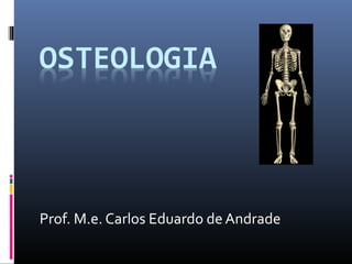Prof. M.e. Carlos Eduardo de Andrade
 