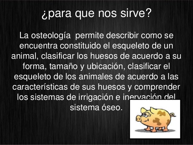 Osteologia medicina veterinaria. Osteologia medicina veterinaria.