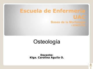 Escuela de Enfermería
UAC
Bases de la Morfología
I SEMESTRE
1
Osteología
Docente:
Klga. Carolina Aguila O.
 