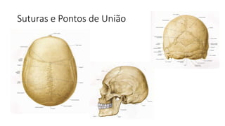 Suturas e Pontos de União
 